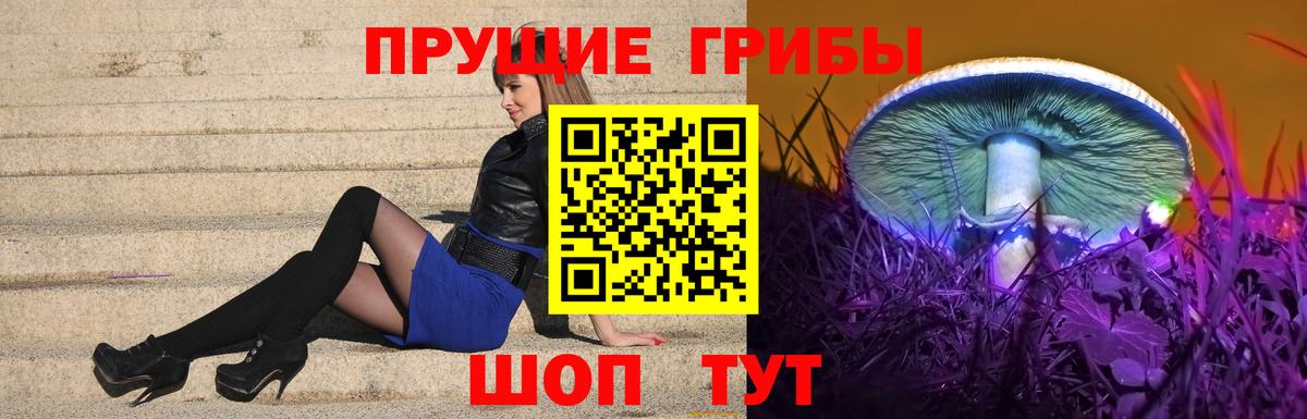 Галлюциногенные грибы Psilocybine cubensis  Вход с VPN  Ишимбай  Галлюциногенные грибы мухоморы 